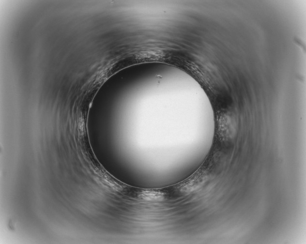 X0000097290617200802221313