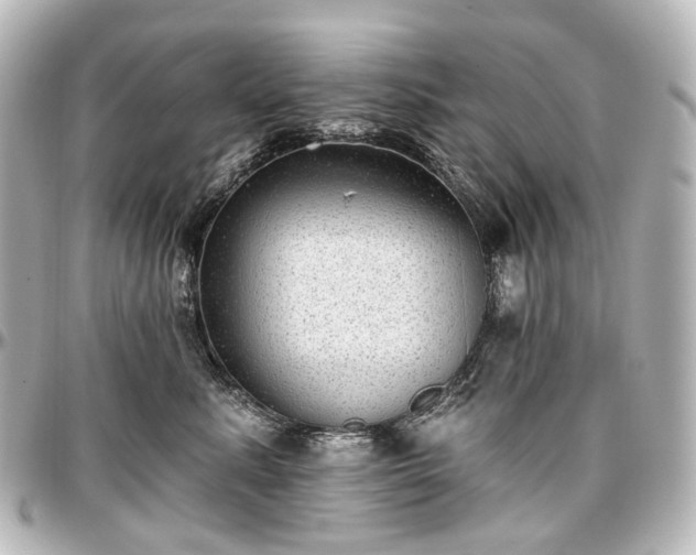 X0000097290619200802221313