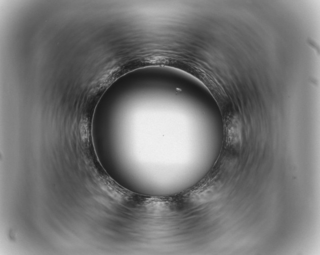 X0000097290620200802221313