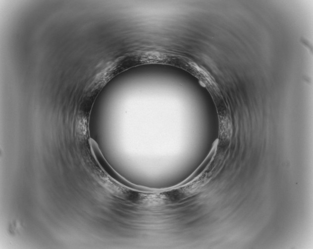 X0000097290621200802221313