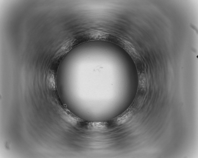 X0000097290622200802221313