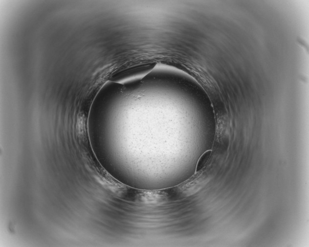 X0000097290623200802221313