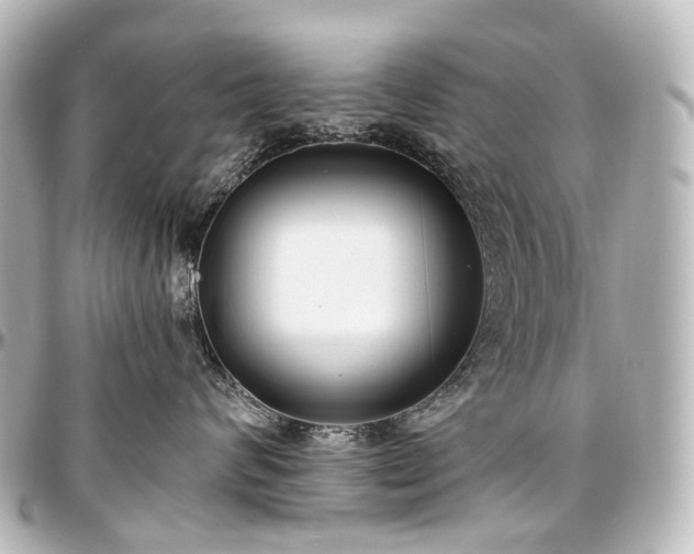 X0000097290624200802221313