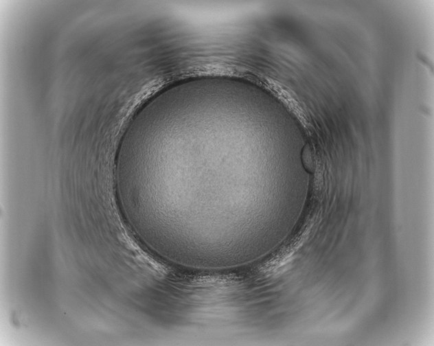 X0000097290625200802221312