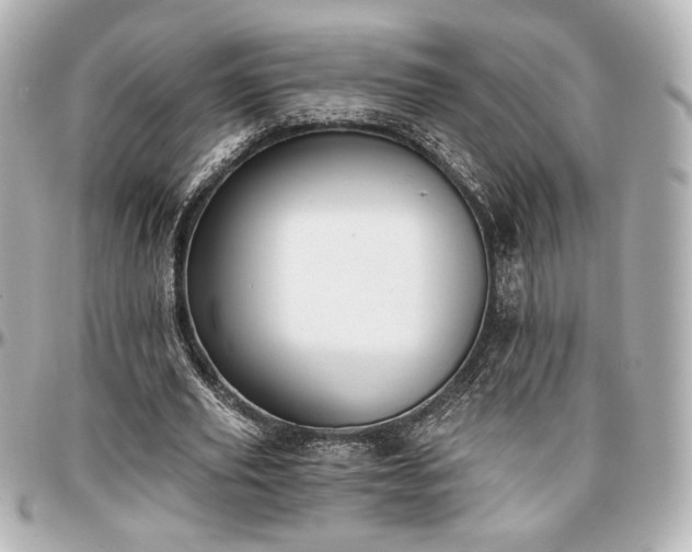 X0000097290629200802221312