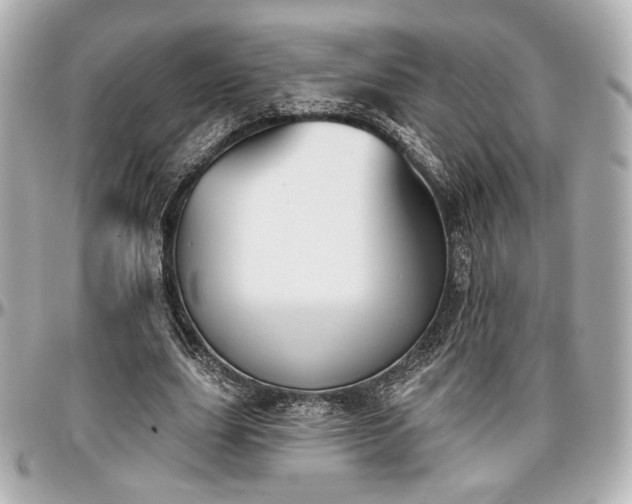 X0000097290631200802221312
