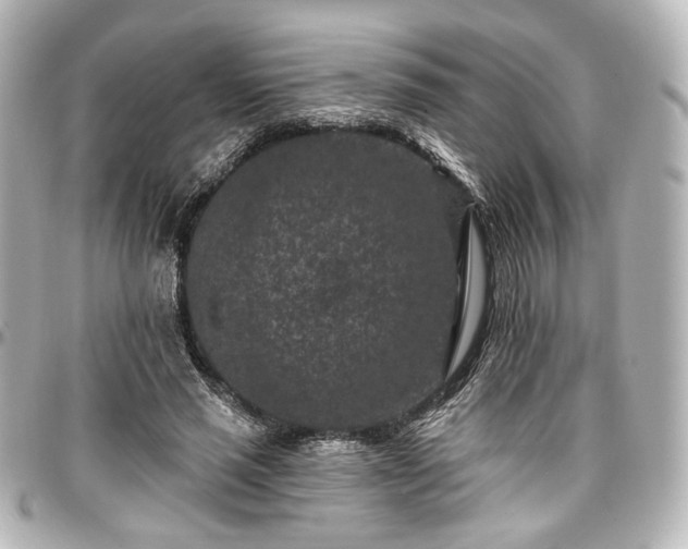 X0000097290637200802221313