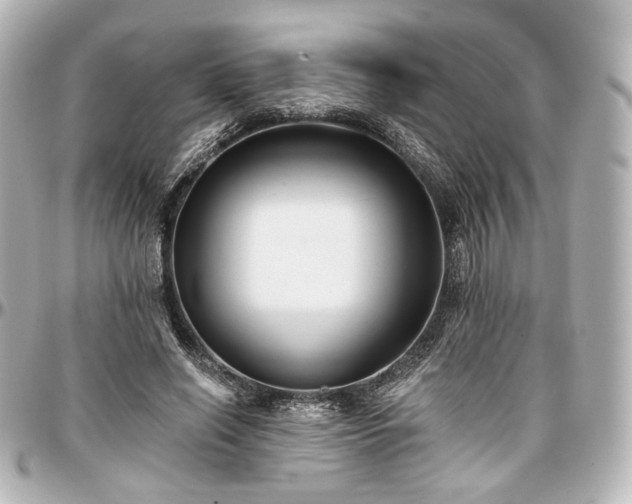 X0000097290638200802221313