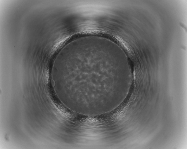 X0000097290640200802221313