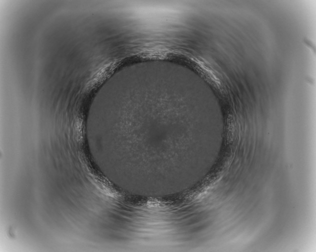 X0000097290641200802221313