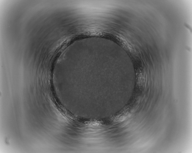 X0000097290643200802221313