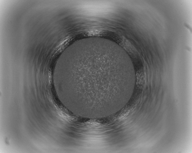 X0000097290648200802221313