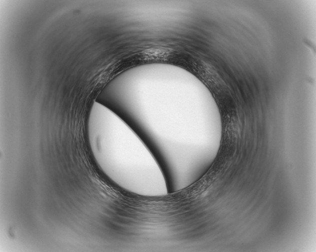 X0000097290649200802221313