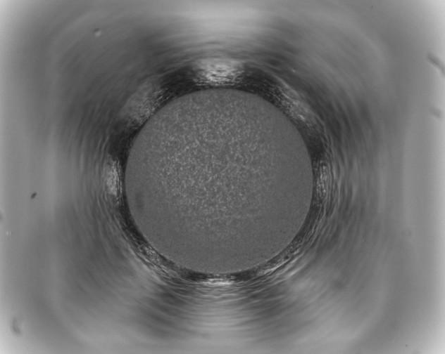 X0000097290651200802221313