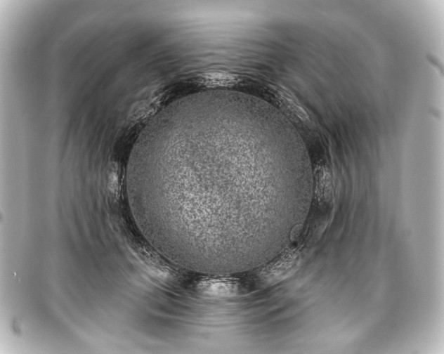 X0000097290655200802221313
