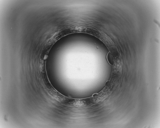 X0000097290656200802221313