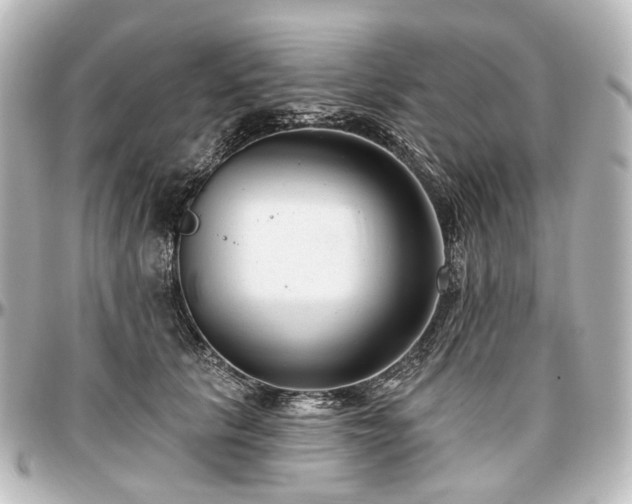 X0000097290657200802221313