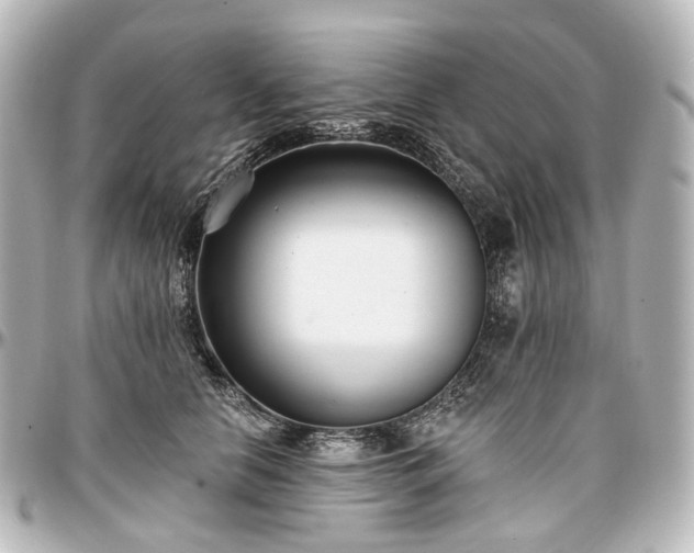 X0000097290658200802221313