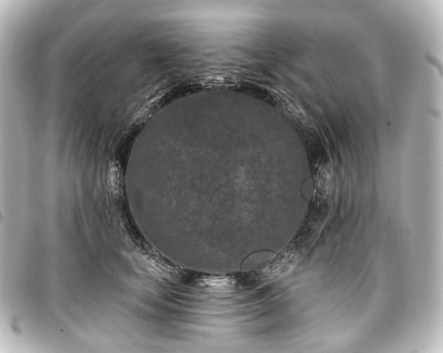 X0000097290659200802221313