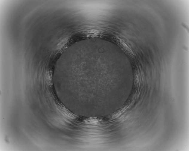 X0000097290661200802221313