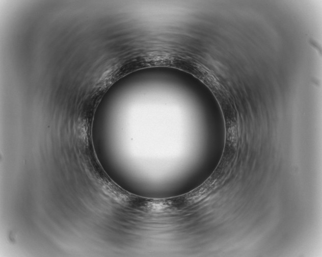 X0000097290662200802221313