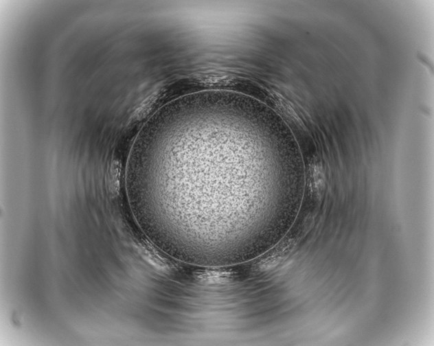 X0000097290664200802221313