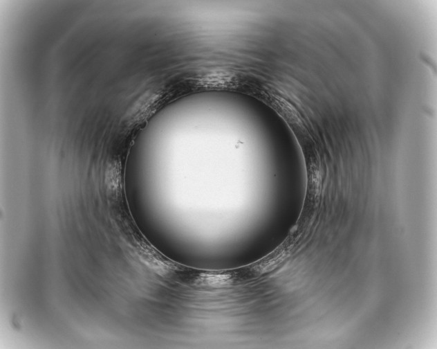 X0000097290665200802221313
