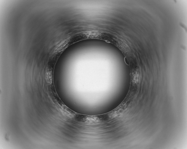 X0000097290666200802221313