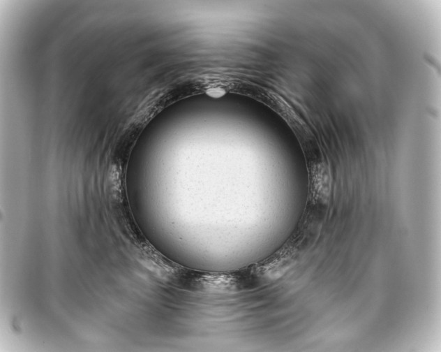X0000097290667200802221313