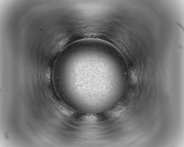 X0000097290668200802221313