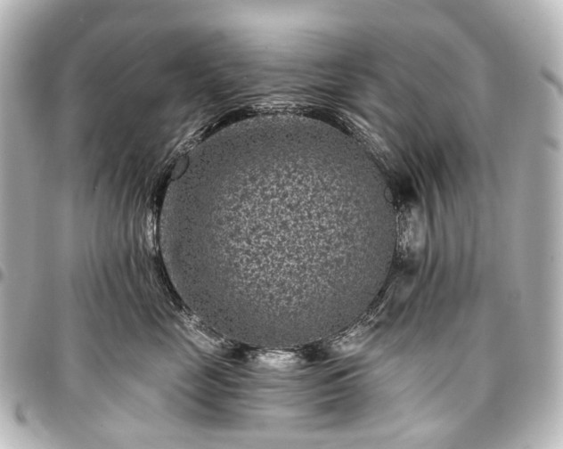 X0000097290669200802221313
