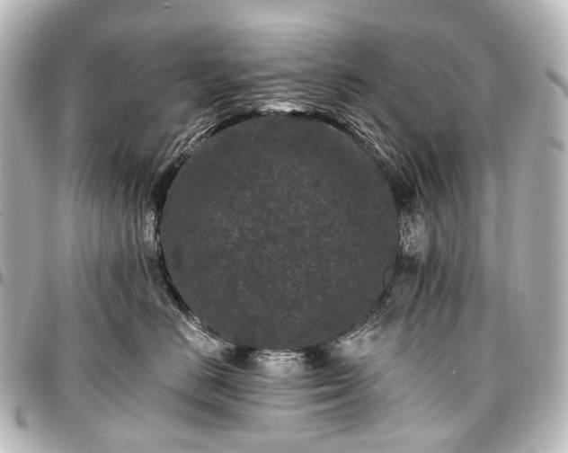 X0000097290670200802221313