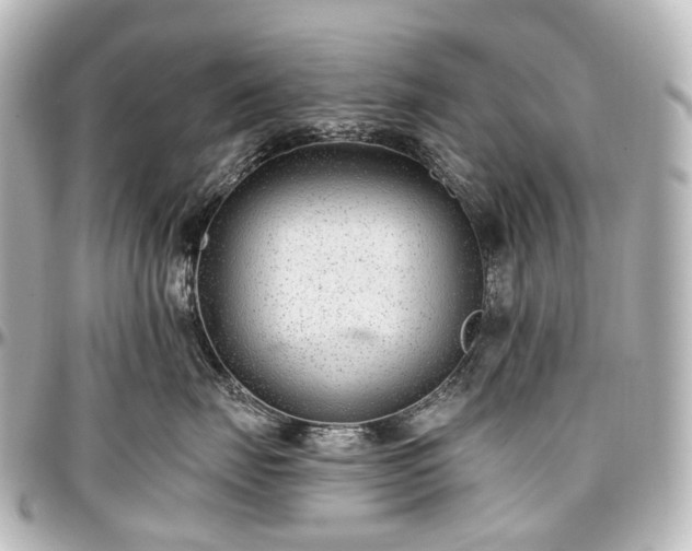 X0000097290671200802221313