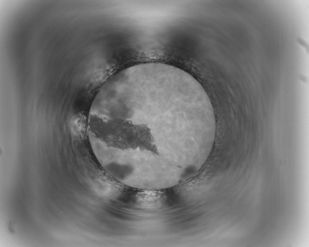 X0000097290672200802221313