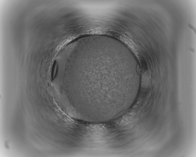 X0000097290673200802221312