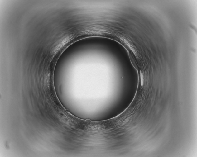 X0000097290675200802221312