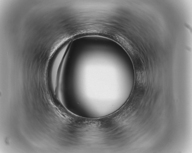 X0000097290676200802221312