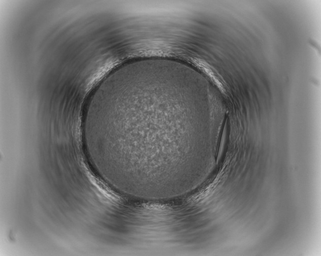 X0000097290677200802221312