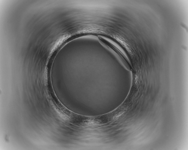 X0000097290678200802221312