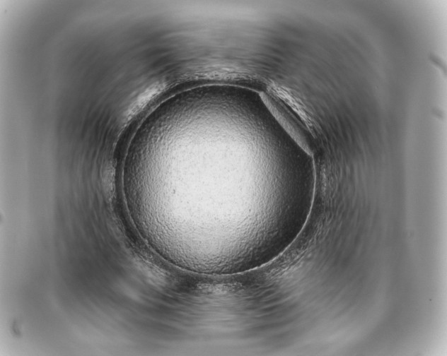 X0000097290679200802221312