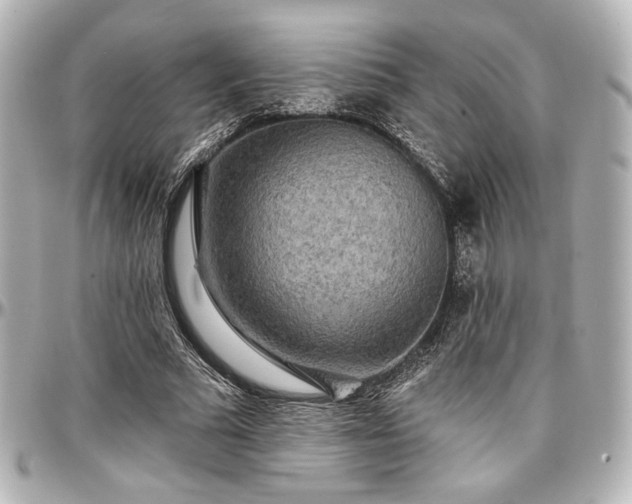 X0000097290681200802221312