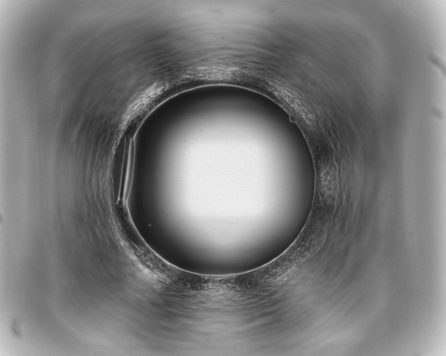 X0000097290682200802221312