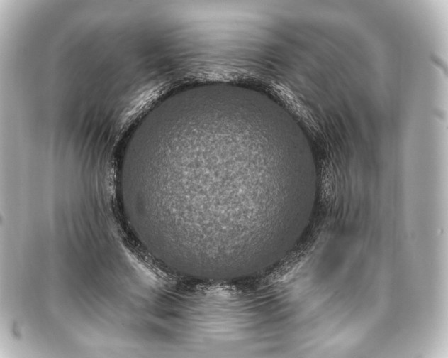 X0000097290683200802221312