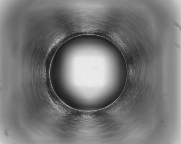 X0000097290684200802221312