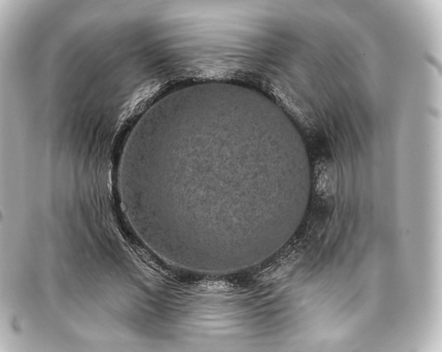 X0000097290685200802221312