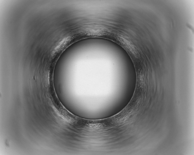 X0000097290686200802221312