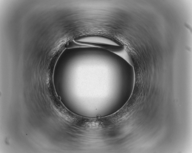X0000097290687200802221312