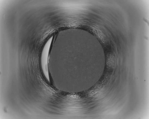 X0000097290689200802221312