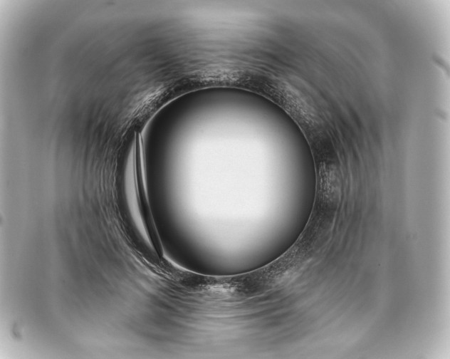 X0000097290692200802221312