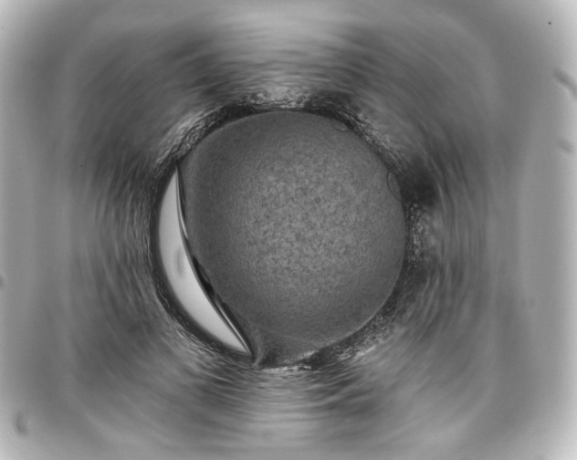 X0000097290693200802221312